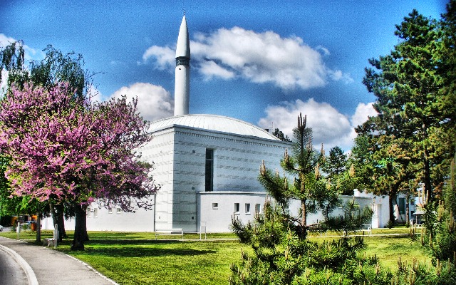 Dan džamija