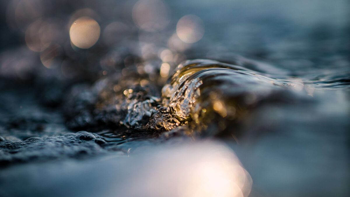 Iz Hikmeta: Hadis u kulturi održavanja lične higijene Bošnjaka